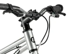Darwin II Kids Belt-Drive Bike 16