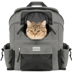 ROCKBROS Folding Bike Pet Bag Backpack