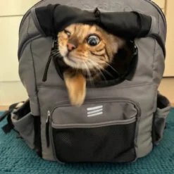 ROCKBROS Folding Bike Pet Bag Backpack