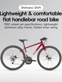 SPIN-P2M Carbon Fiber Fork Aluminum Frame Road Bike