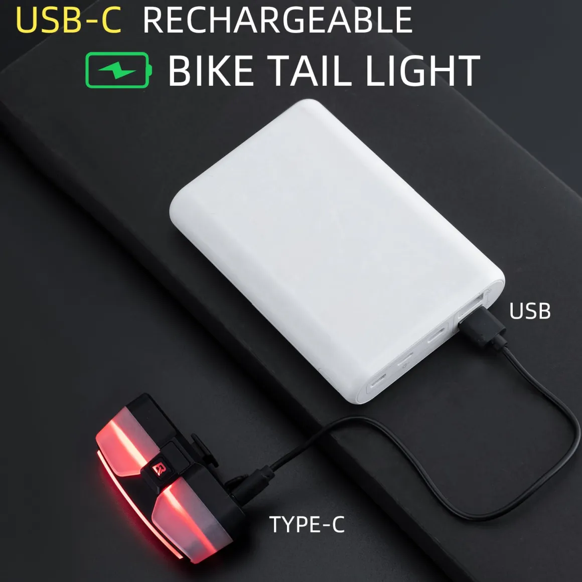 Tail Light Brake Sense USB
